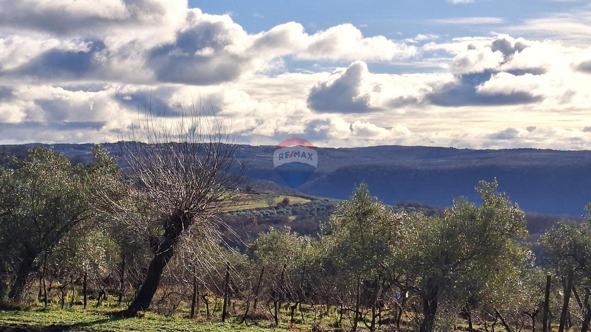 Stavbno zemljišče Krasica, Buje, 2.133m2
