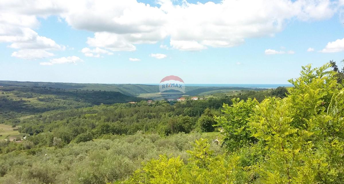 Stavbno zemljišče Buje, 2.524m2