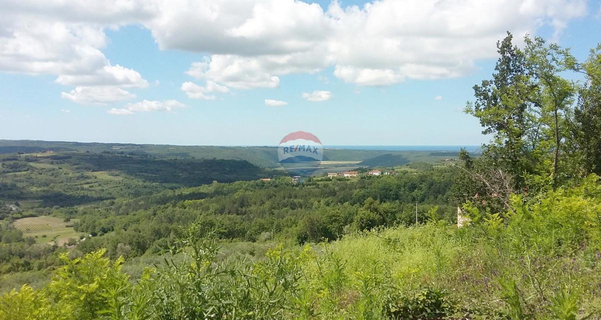 Stavbno zemljišče Buje, 2.524m2
