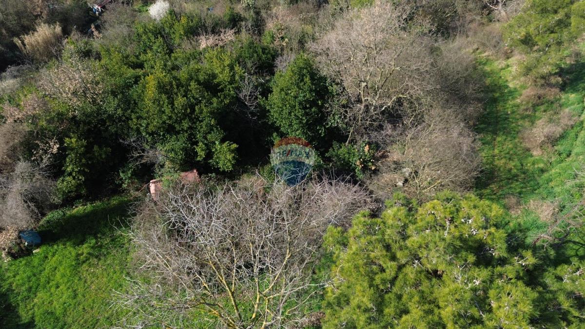 Stavbno zemljišče Buje, 5.762m2