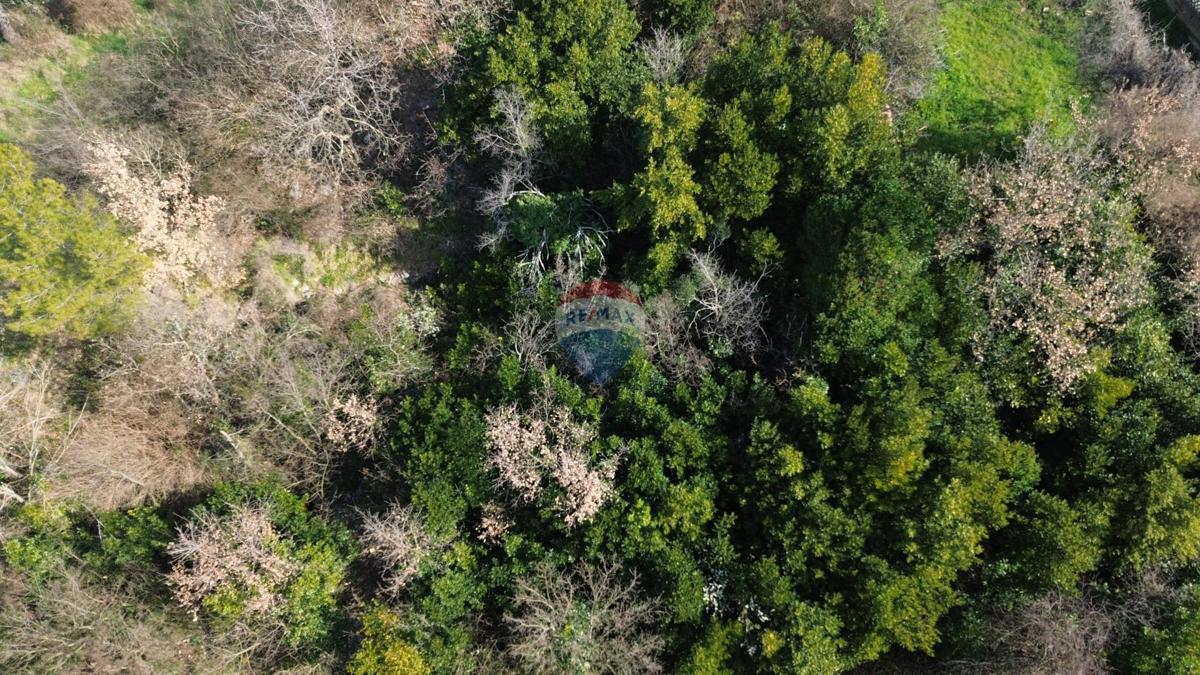 Stavbno zemljišče Buje, 5.762m2