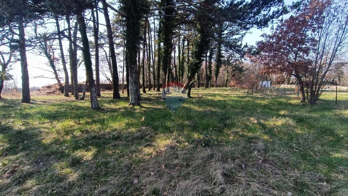 Stavbno zemljišče Žminj, 1.707m2