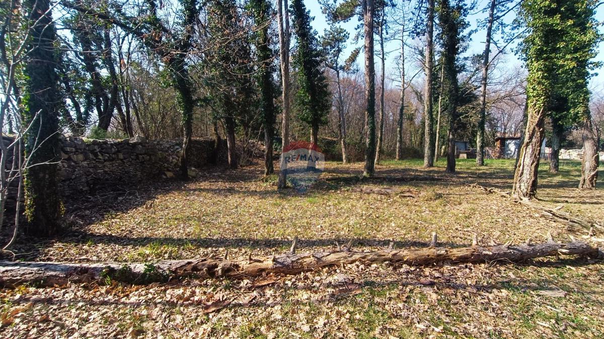 Stavbno zemljišče Žminj, 1.707m2