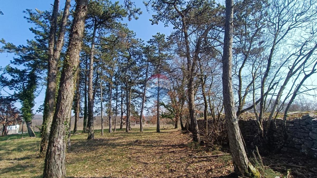 Stavbno zemljišče Žminj, 1.707m2