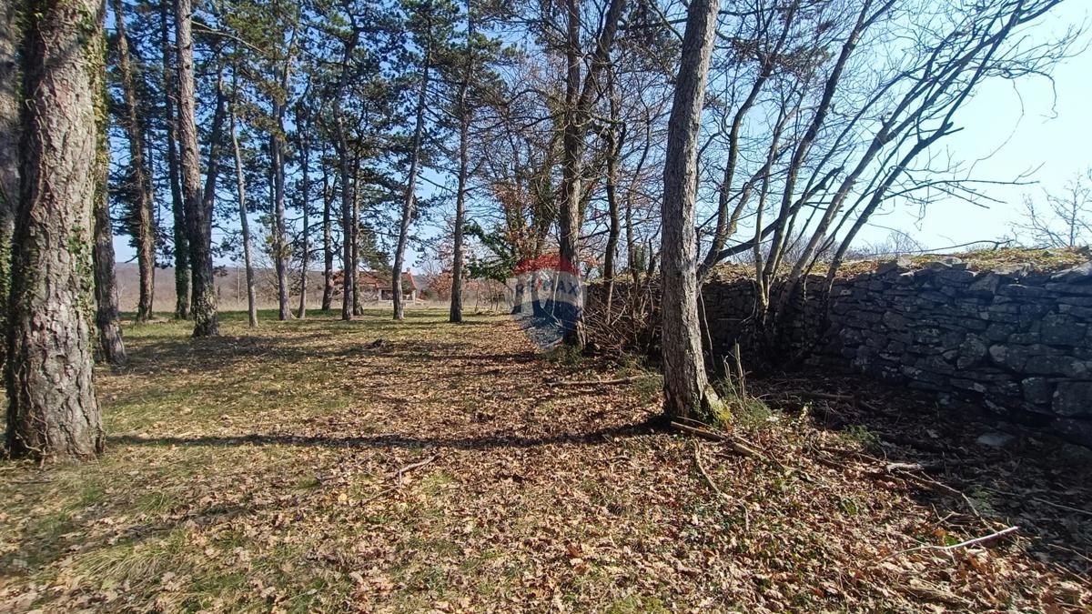 Stavbno zemljišče Žminj, 1.707m2