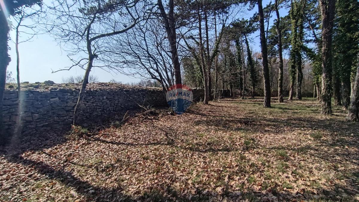 Stavbno zemljišče Žminj, 1.707m2