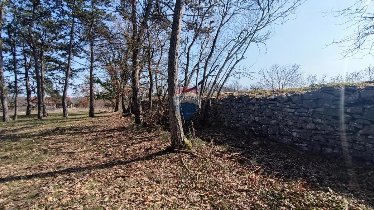 Stavbno zemljišče Žminj, 1.707m2