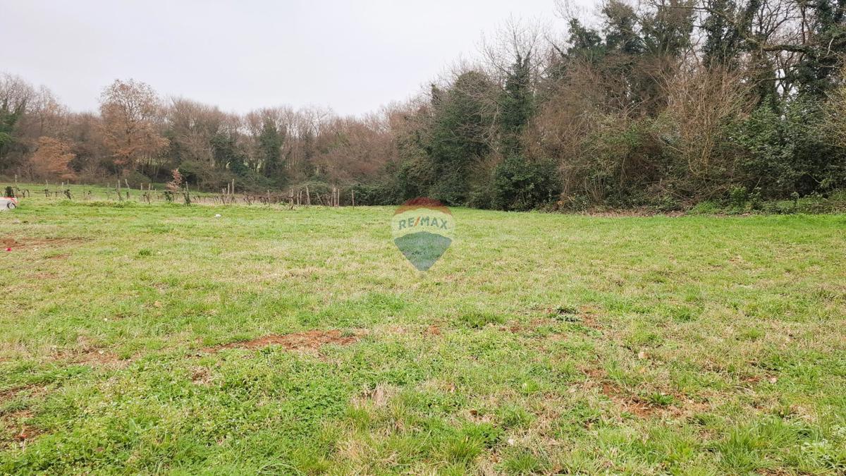 Istra, Brtonigla – Gradbeno zemljišče 619 m²