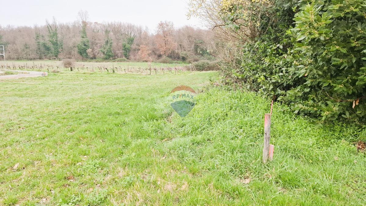 Istra, Brtonigla – Gradbeno zemljišče 619 m²