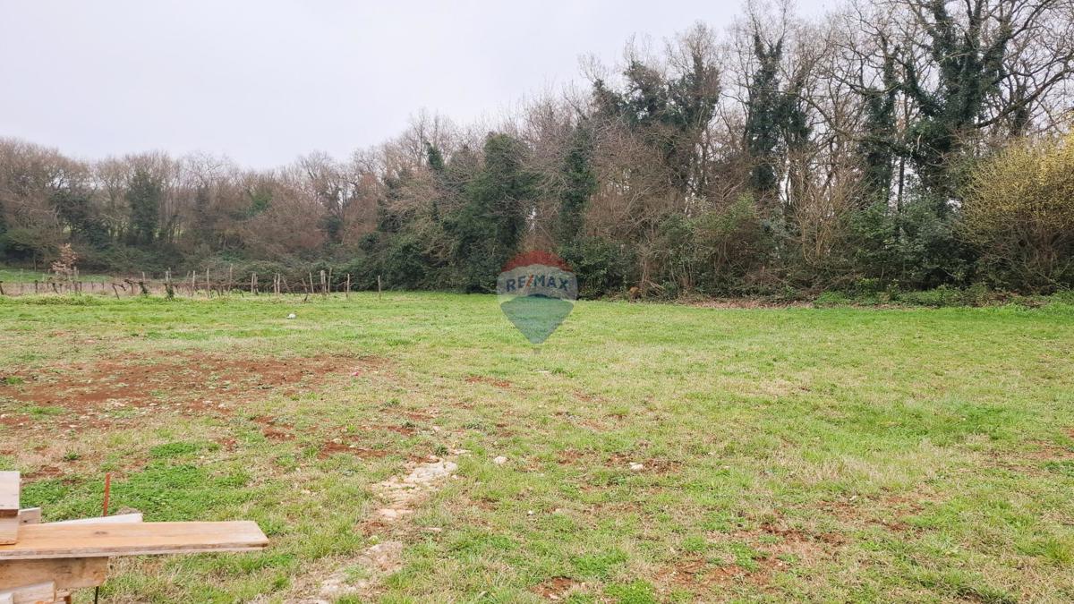 Istra, Brtonigla – Gradbeno zemljišče 619 m²