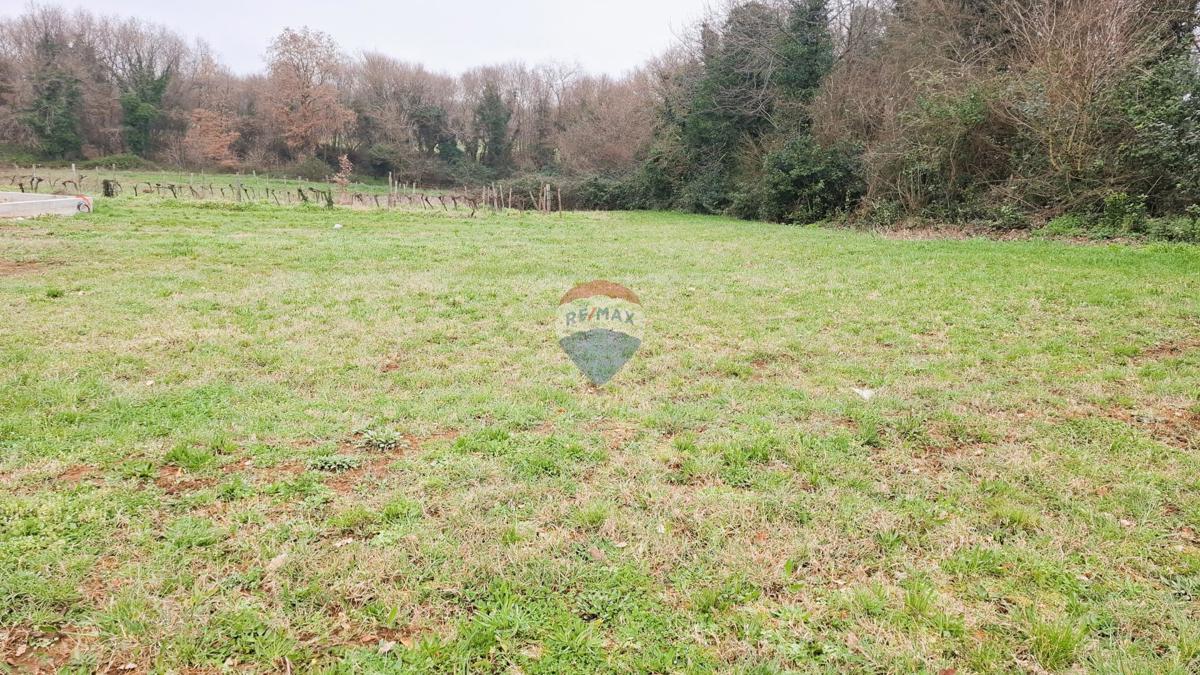 Istra, Brtonigla – Gradbeno zemljišče 619 m²