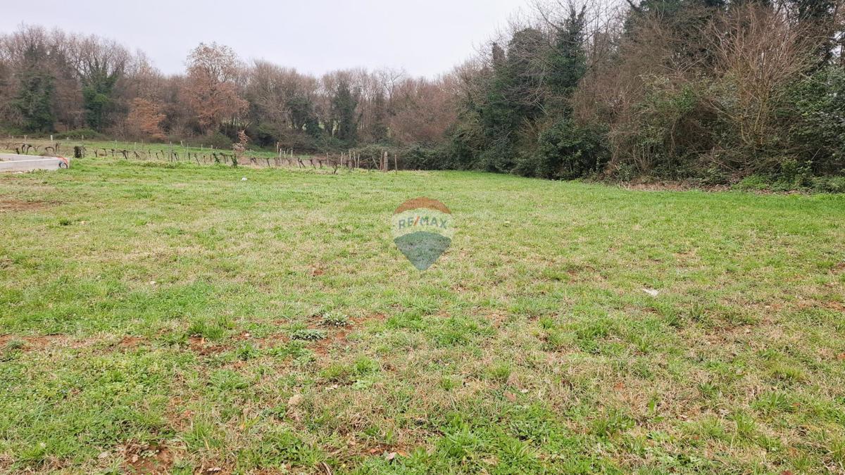 Istra, Brtonigla – Gradbeno zemljišče 619 m²