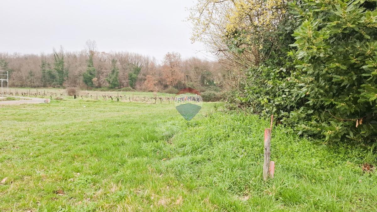 Istra, Brtonigla – Gradbeno zemljišče 619 m²