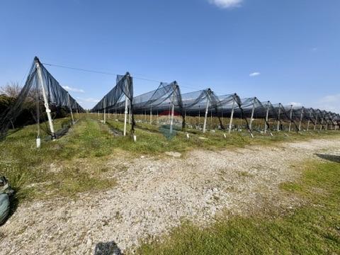 Stavbno zemljišče Novoselec, Križ, 12,26m2