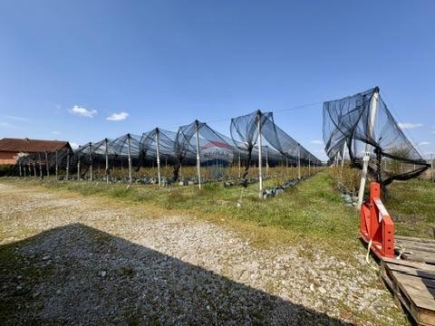 Stavbno zemljišče Novoselec, Križ, 12,26m2