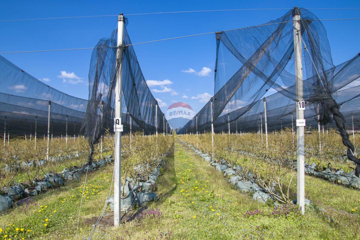 Stavbno zemljišče Novoselec, Križ, 12,26m2