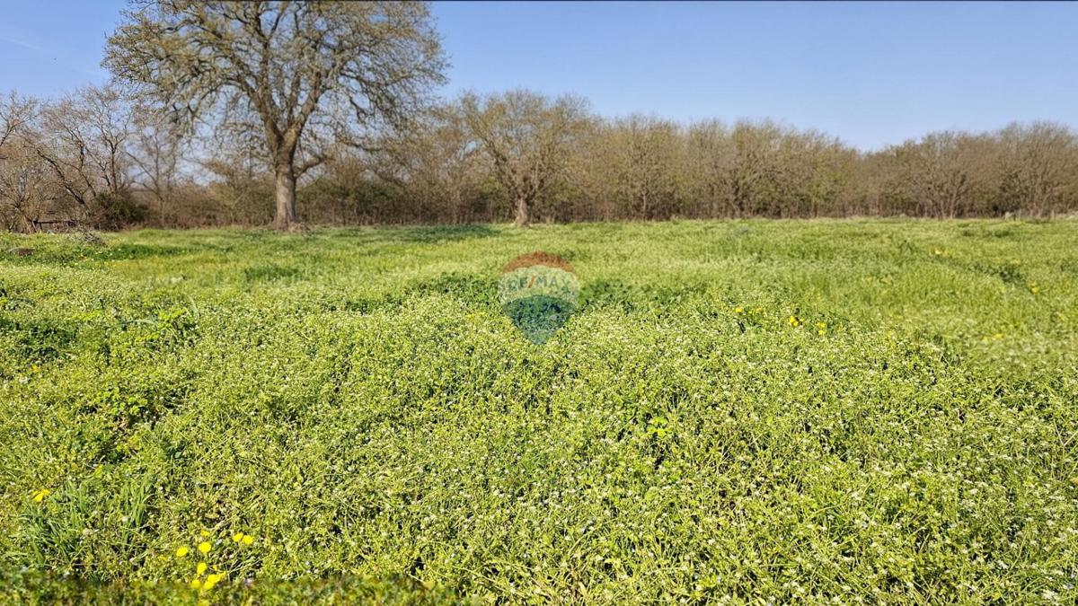 Stavbno zemljišče Fiorini, Brtonigla, 520m2