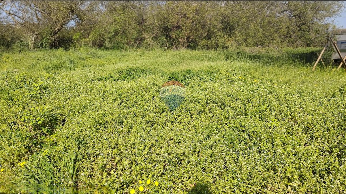 Stavbno zemljišče Fiorini, Brtonigla, 520m2