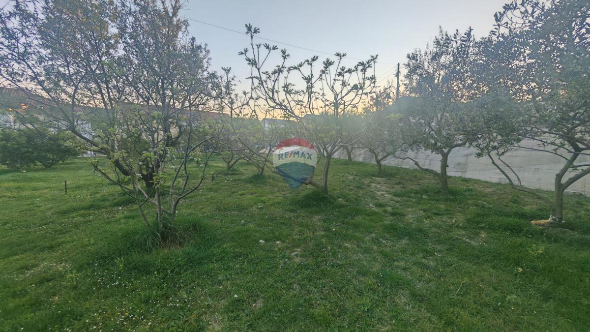 Stavbno zemljišče Kampor, Rab, 1.035m2