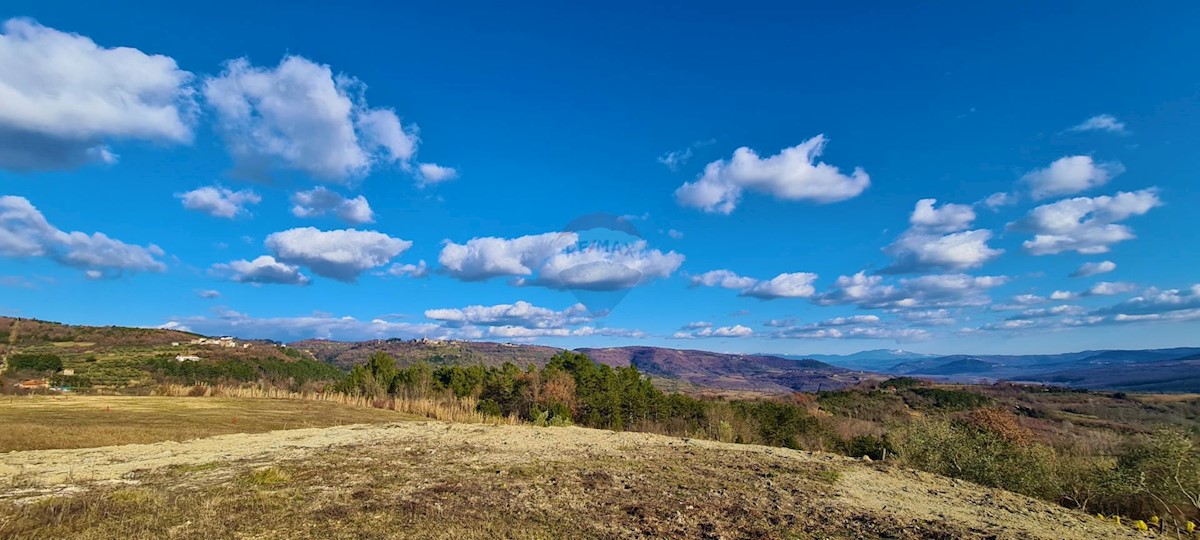 Baredine, Buje, 9.132m2