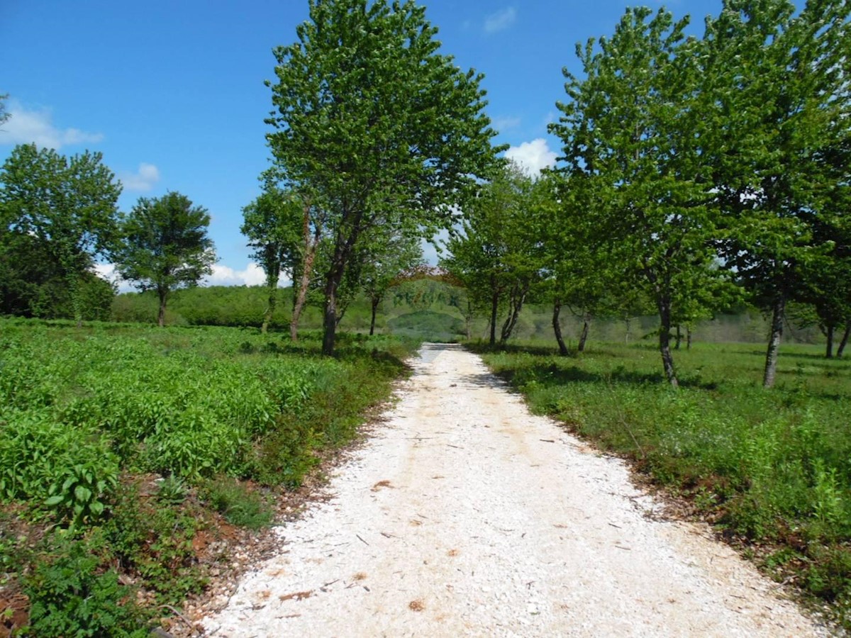 Jadruhi, Vižinada, 40.733m2