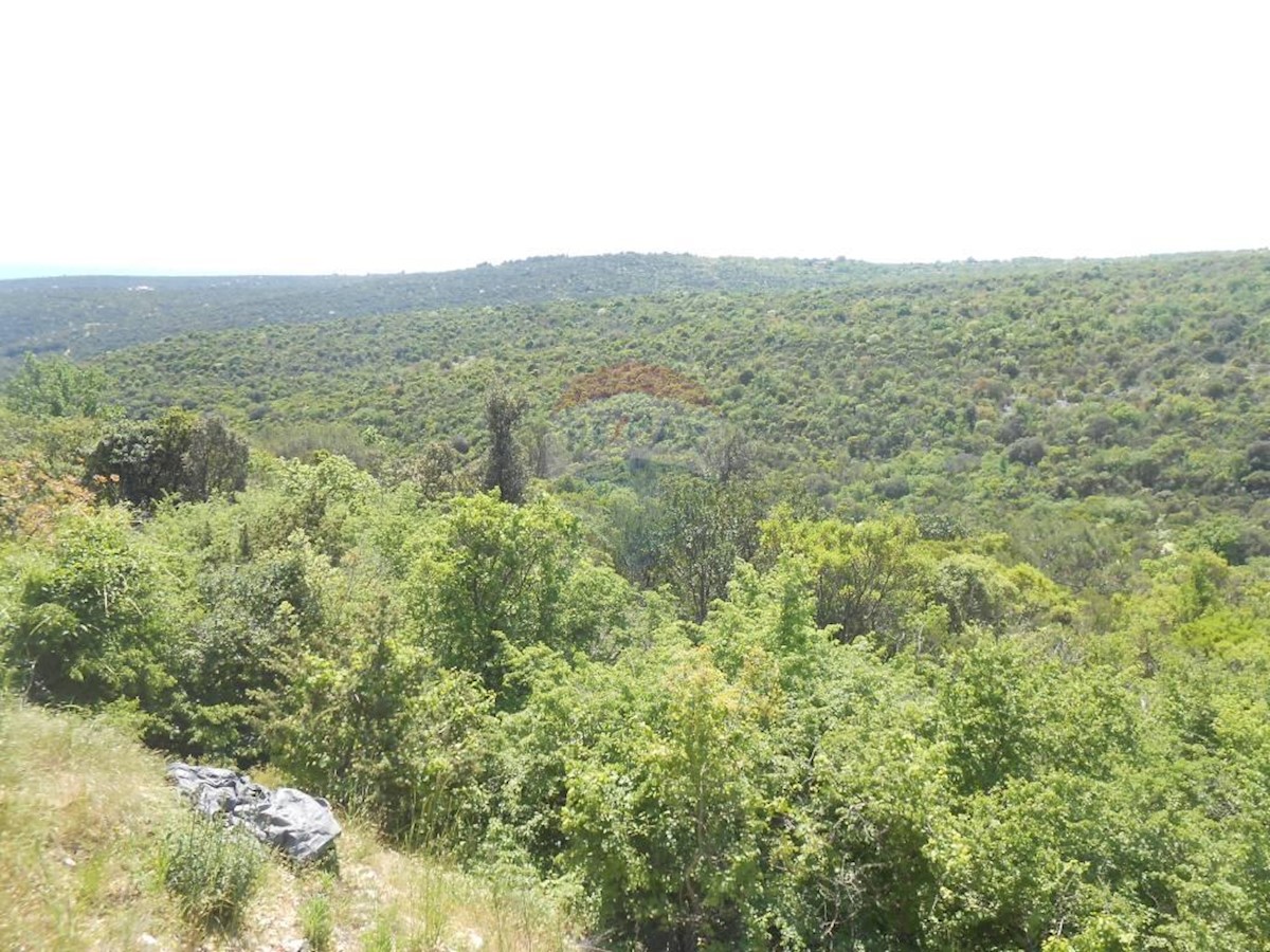 Krnica, Marčana, 41.800m2