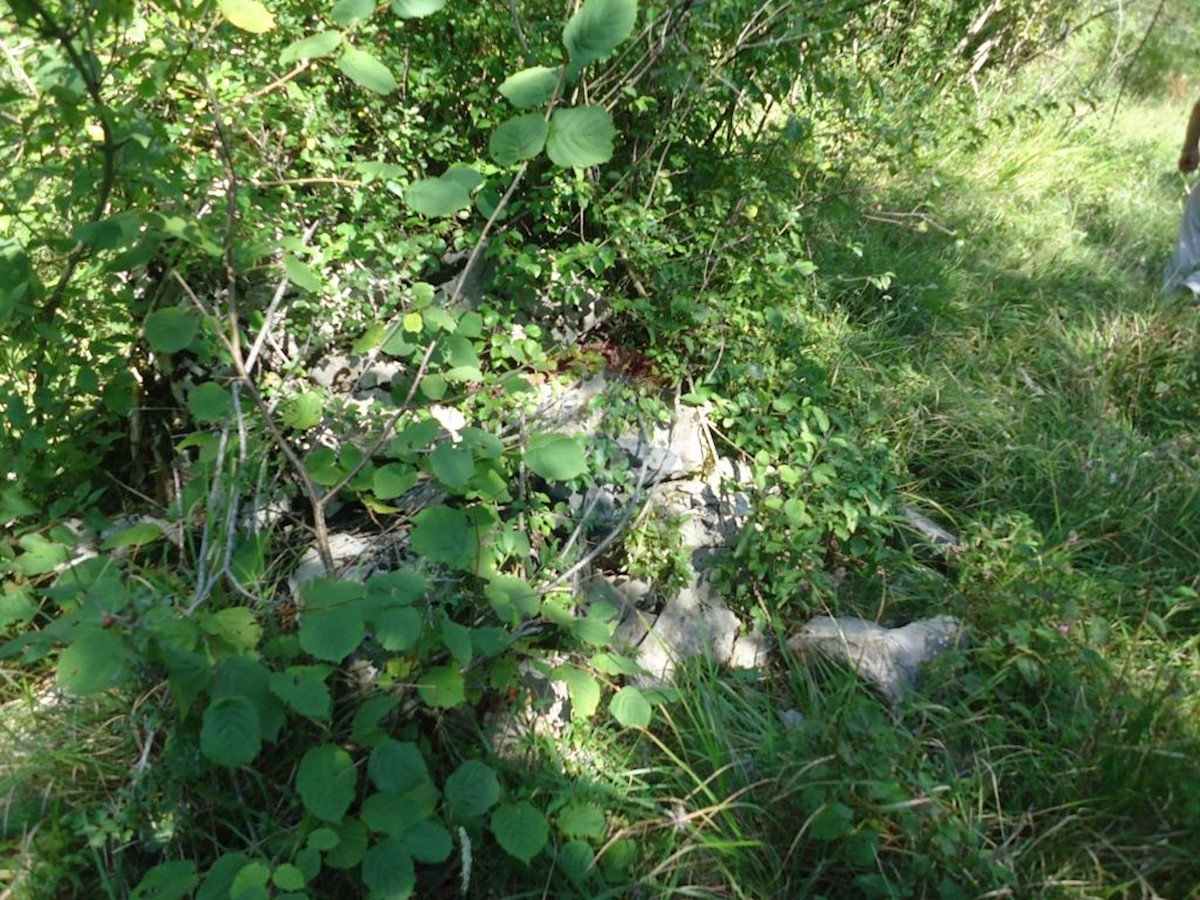 Stavbno zemljišče Veli Brgud, Matulji, 2.837m2