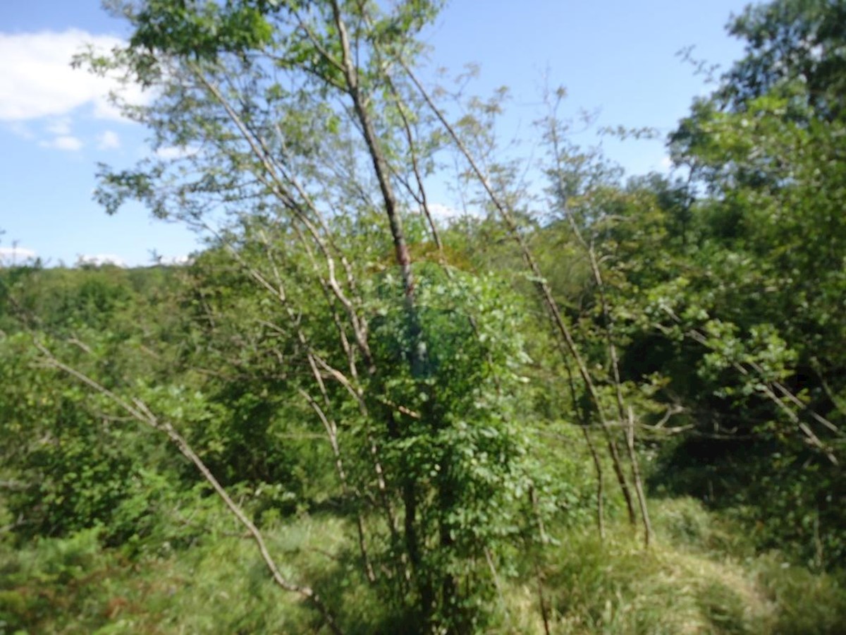 Stavbno zemljišče Veli Brgud, Matulji, 2.837m2