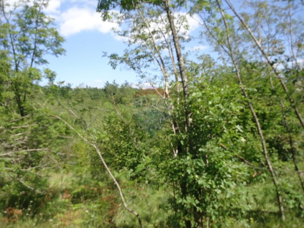 Stavbno zemljišče Veli Brgud, Matulji, 2.837m2