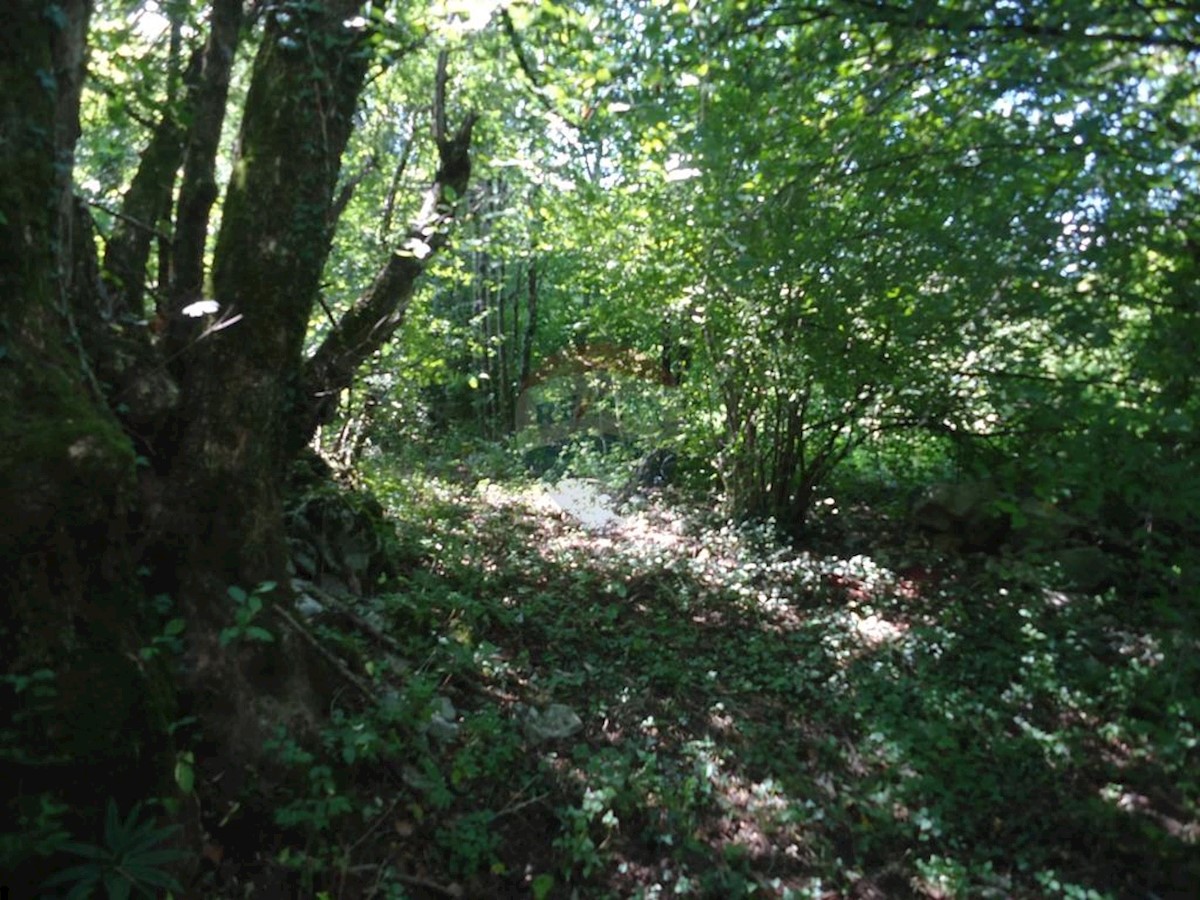 Stavbno zemljišče Veli Brgud, Matulji, 2.837m2