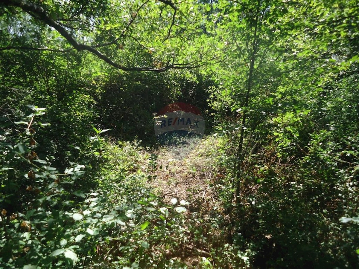 Stavbno zemljišče Veli Brgud, Matulji, 2.837m2