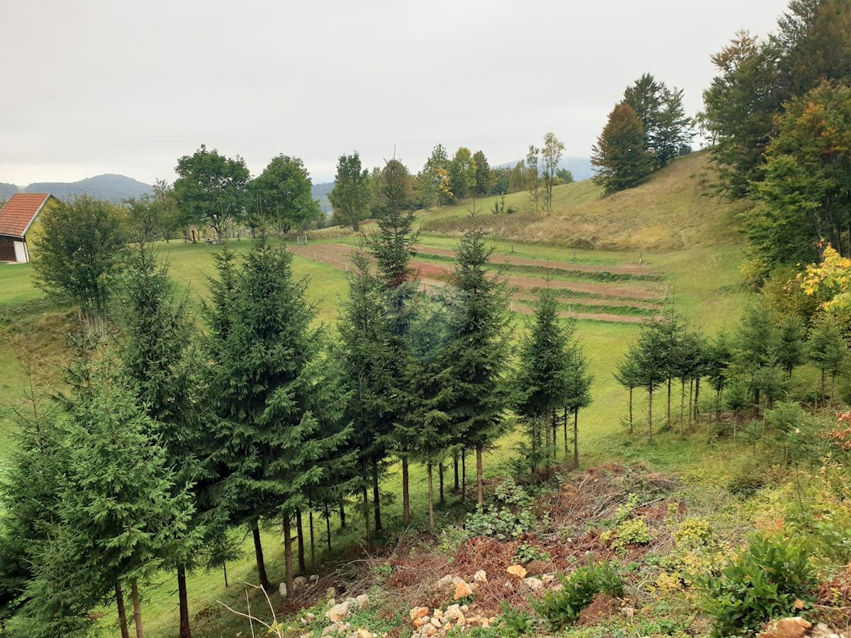 Stari Laz, Ravna Gora, 1.600m2