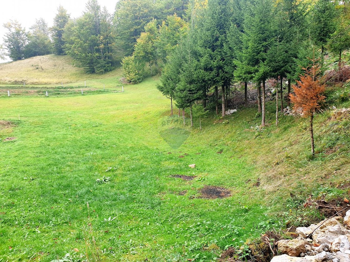 Stari Laz, Ravna Gora, 1.600m2