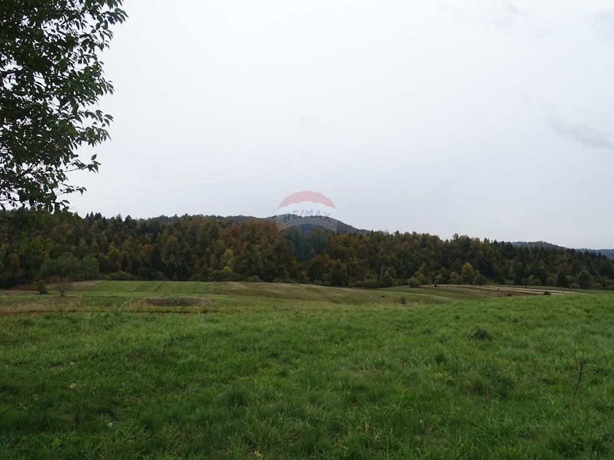 Vrata, Fužine, 14.203m2