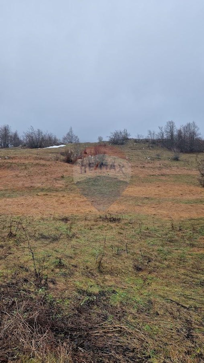 Vrata, Fužine, 14.203m2