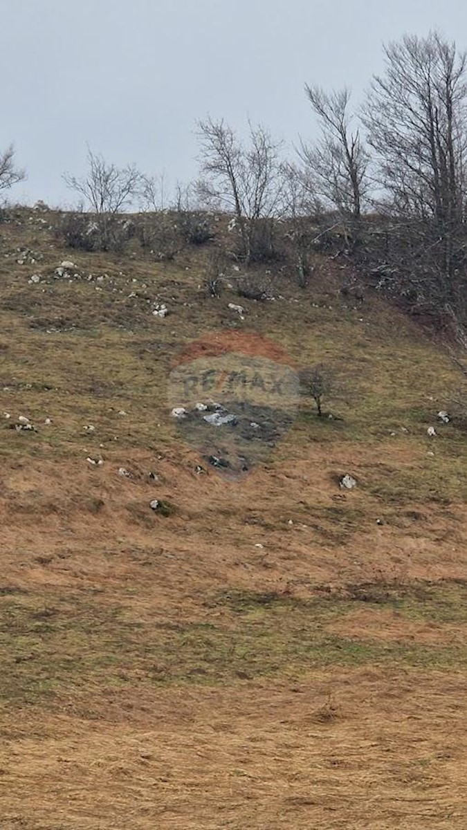 Vrata, Fužine, 14.203m2