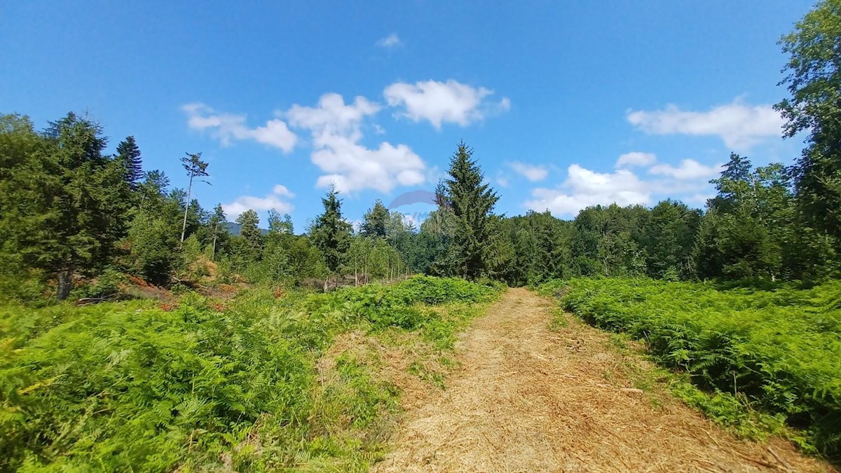 Smrečje, Čabar, 17.496m2