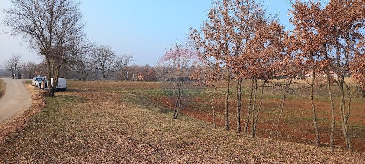 Zabrežani, Pazin - Okolica, 9.680m2