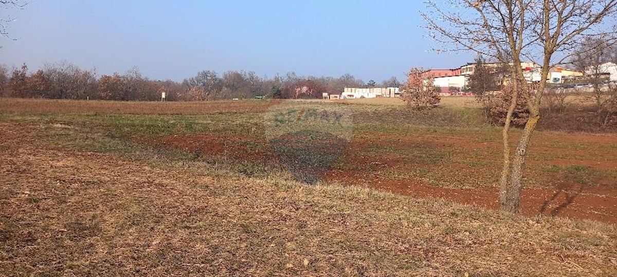 Zabrežani, Pazin - Okolica, 9.680m2