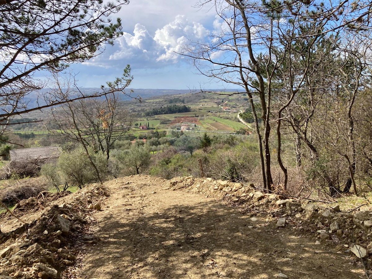 Bijele Zemlje, Grožnjan, 1.533m2