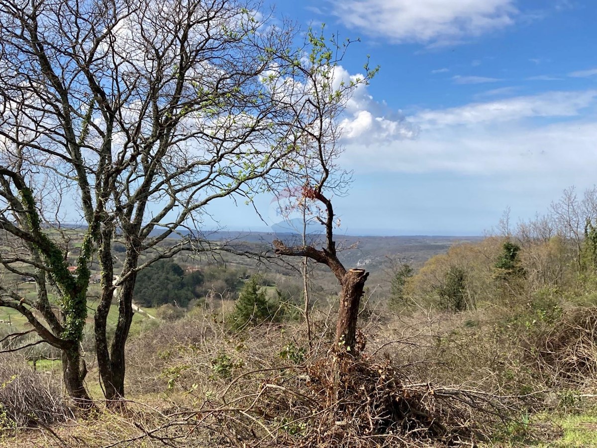 Bijele Zemlje, Grožnjan, 1.533m2