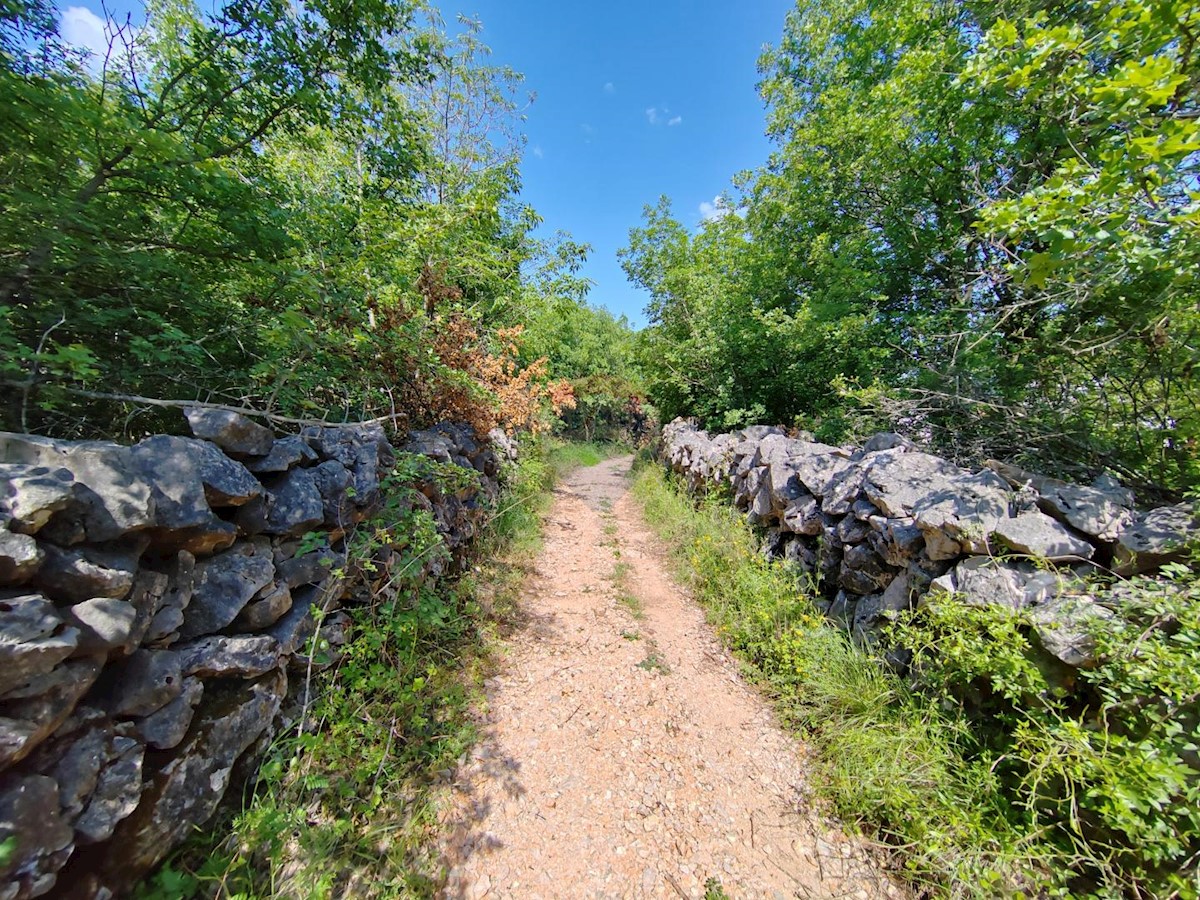 Hiša Kampelje, Vrbnik, 80m2