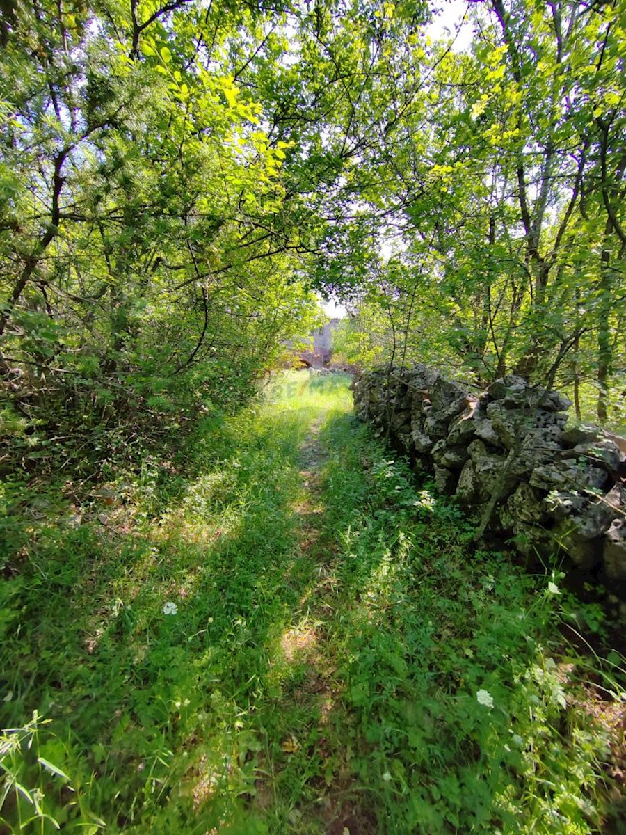 Hiša Kampelje, Vrbnik, 80m2