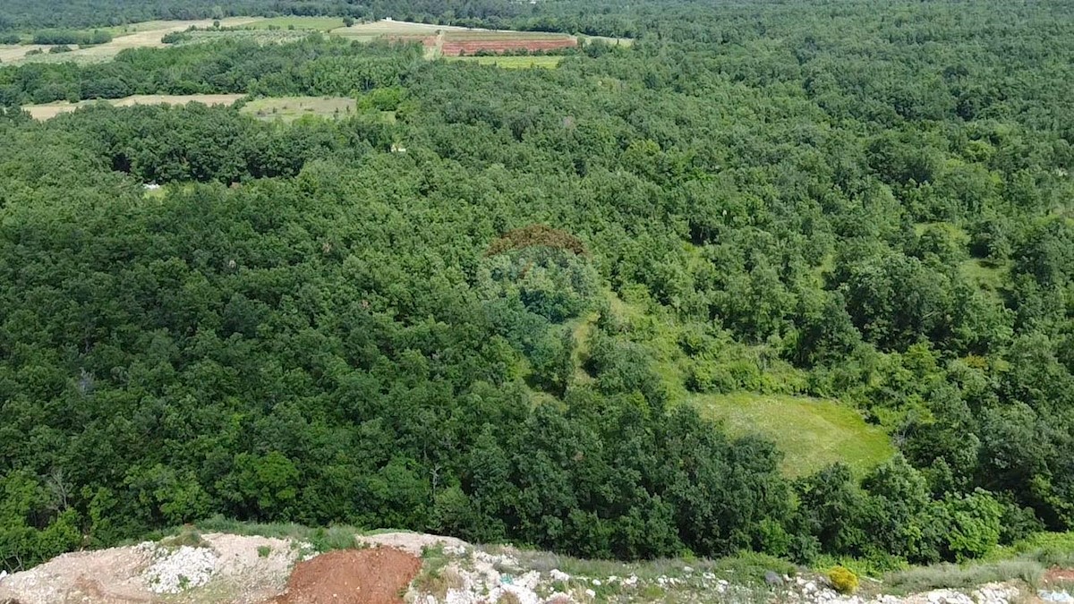 Gambetići, Višnjan, 7.375m2