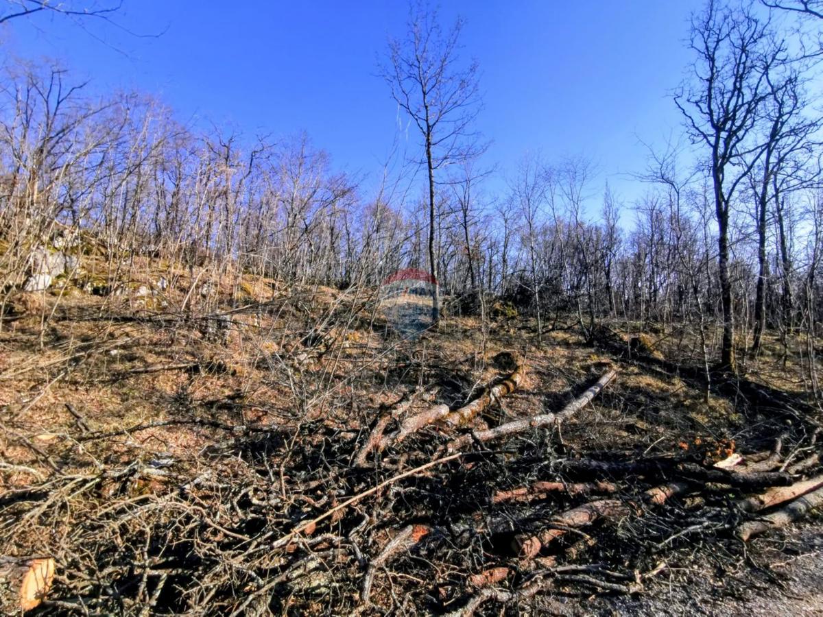 Stavbno zemljišče Lipa, Matulji, 1.964m2