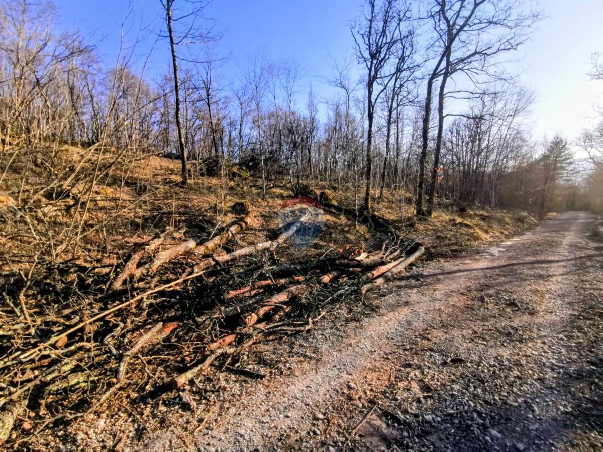 Stavbno zemljišče Lipa, Matulji, 1.964m2