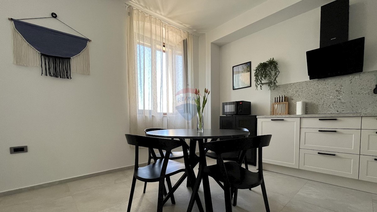 Stanovanje/Apartma Tar, Tar-Vabriga, 55,49m2