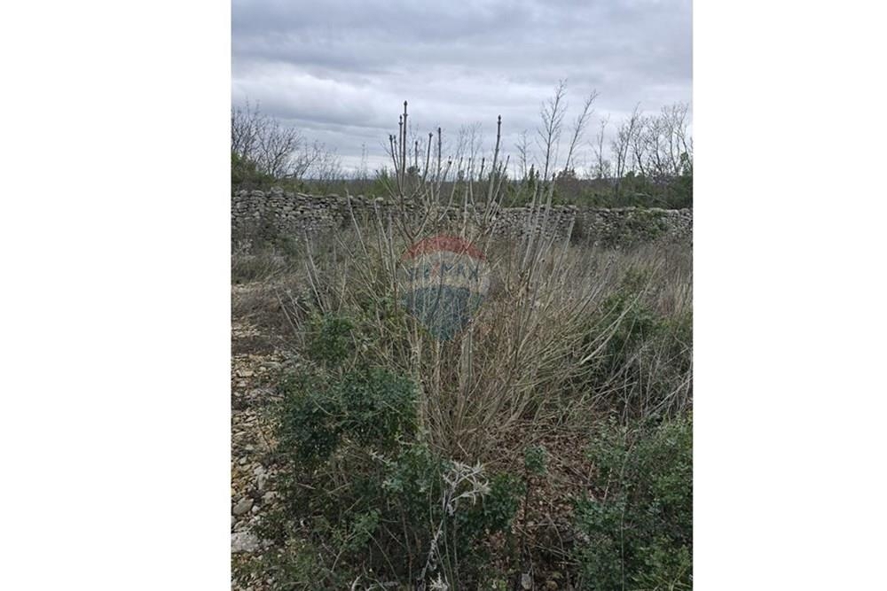 Zemljišče Pridraga, Novigrad, 517m2