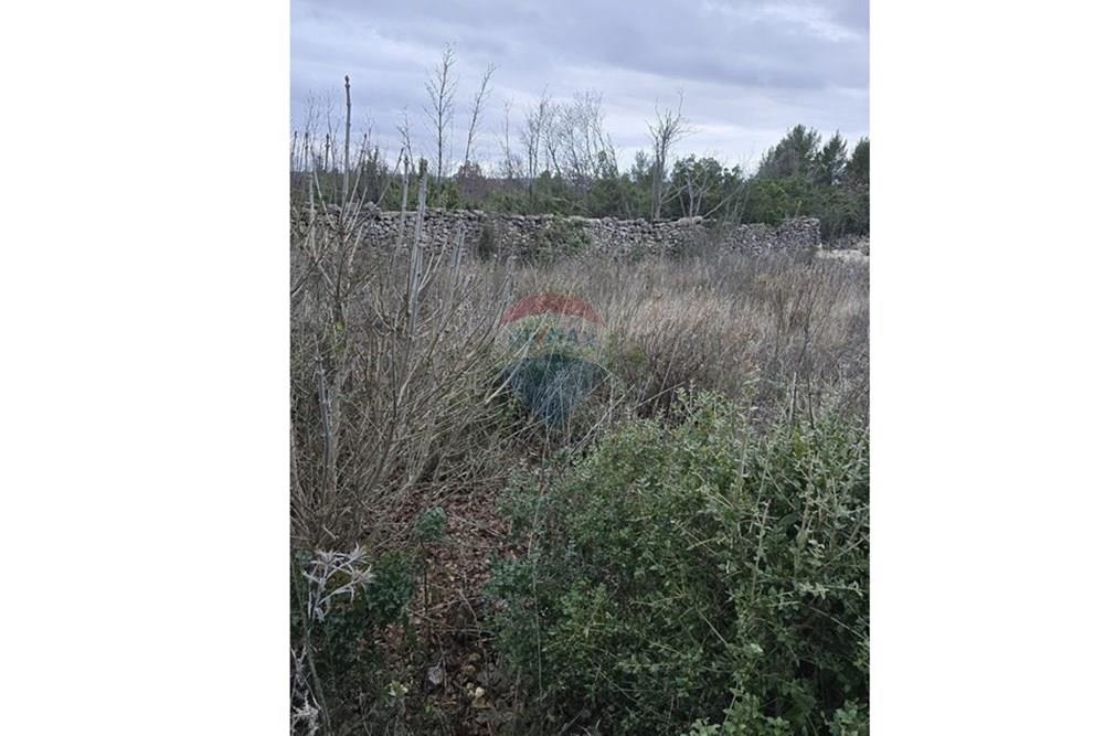 Zemljišče Pridraga, Novigrad, 517m2