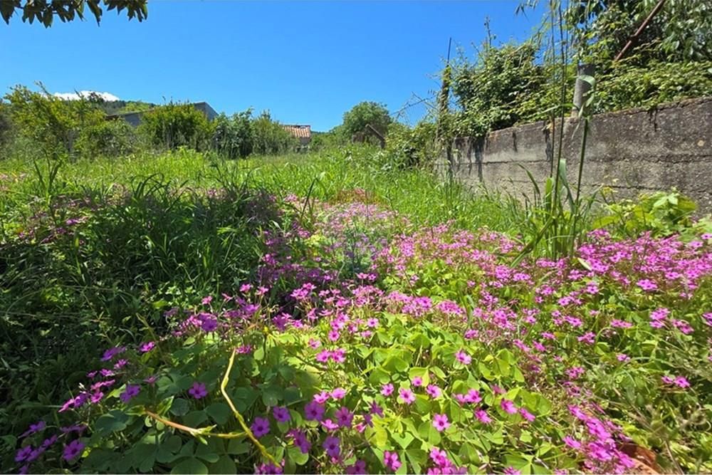 Hiša Neviđane, Pašman, 140m2
